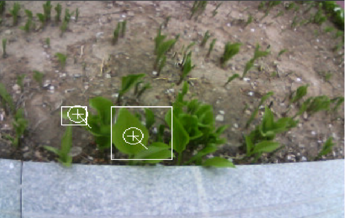 精准识别 低损高质